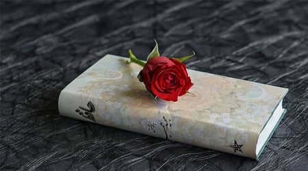 Zdjęcie róży leżącej na zamkniętej książce.